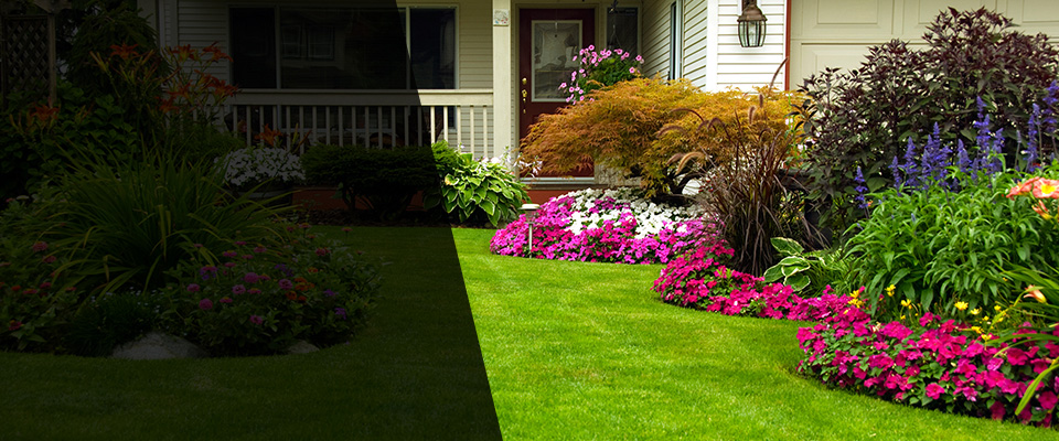 Burr Hill Landscapers