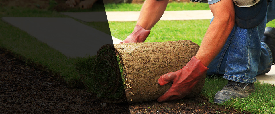 Burr Hill Landscapers